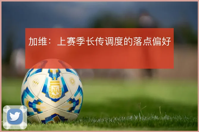 加维：上赛季长传调度的落点偏好